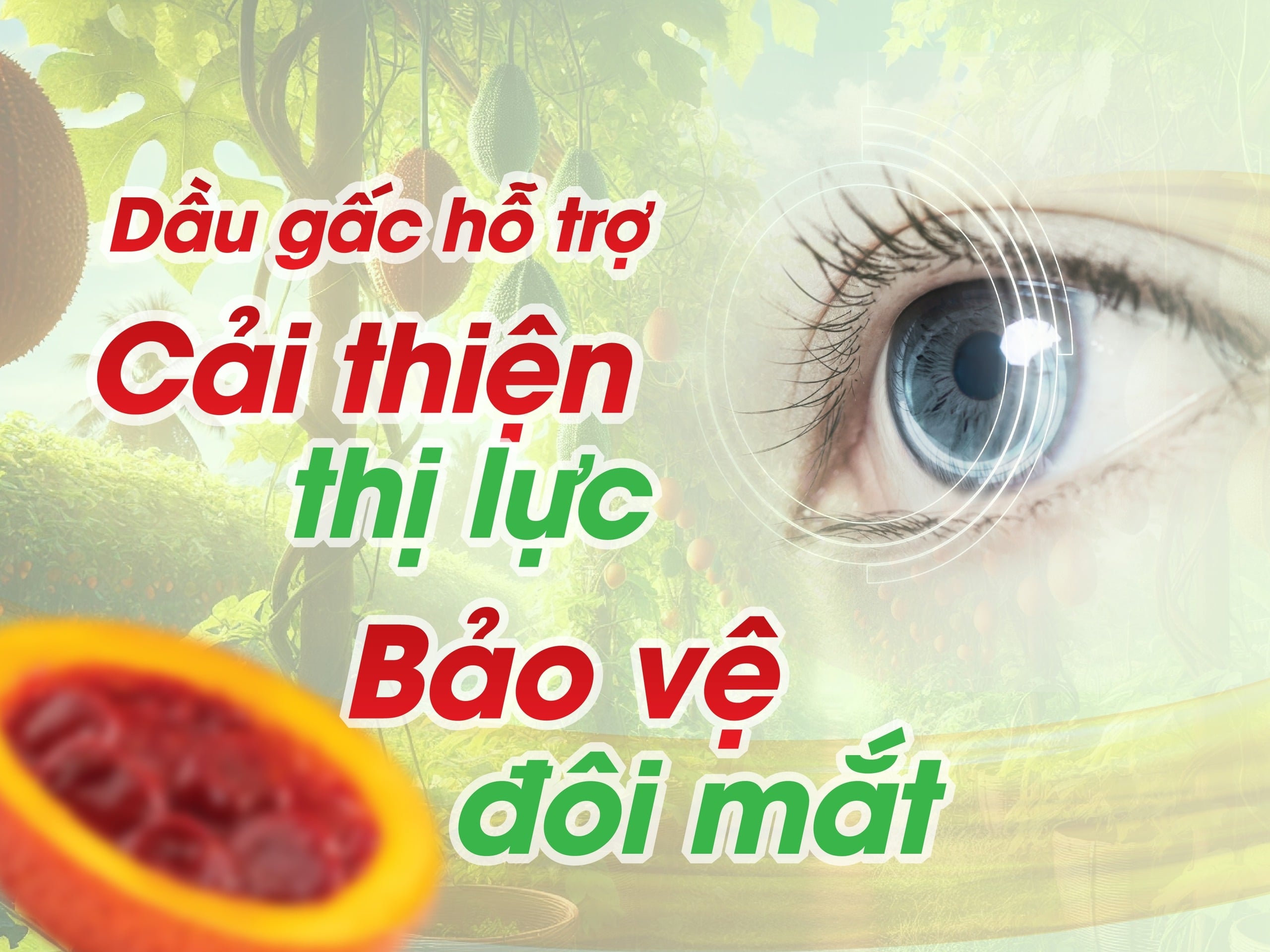 cong-dung-cua-dau-gac-3