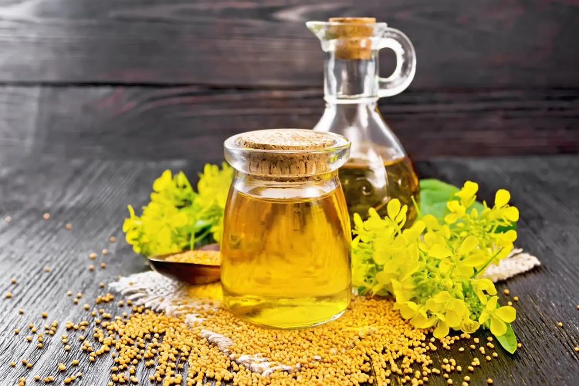 dầu hạt cải có thực sự gây hại không dầu hạt cải có thực sự gây hại không