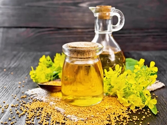 Dầu hạt cải có tốt không? Giải đáp chi tiết từ góc độ dinh dưỡng