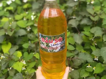 Tìm Hiểu Về Dầu Sở Và Những Tác Dụng Tuyệt Vời Của Nó
