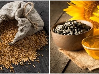 So sánh dầu hướng dương và dầu hạt cải: Nên dùng loại nào tốt hơn?