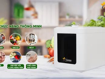 Máy Rửa Rau Củ Quả Là Gì? Giải Pháp Làm Sạch Và Khử Khuẩn Thực Phẩm An Toàn Cho Gia Đình.