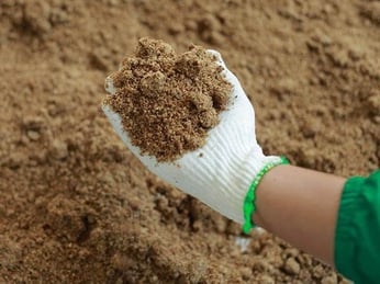 Cách sử dụng bánh dầu đậu phộng làm phân bón đúng cách cho cây trồng