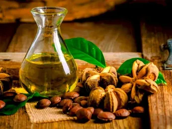 Dầu Sachi và 14 tác dụng cực tốt danh cho cho sức khỏe