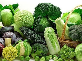 Những Loại Thực Phẩm Nên Dùng Máy Khử Khuẩn Trước Khi Chế Biến