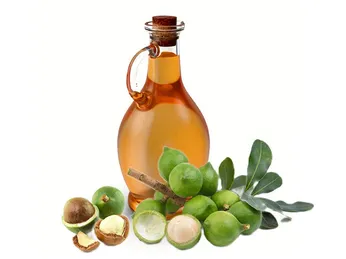 cách làm dầu mù u tại nhà bằng máy ép dầu: Những điều bạn cần biết