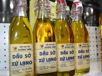 Cách ép dầu sở - Từ A-Z quy trình và bí quyết thành công