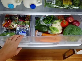 Máy khử độc thực phẩm giúp kéo dài thời gian sử dụng & giảm lãng phí thực phẩm như thế nào?