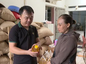 Kinh doanh dịch vụ ép dầu thuê - Hướng dẫn chi tiết