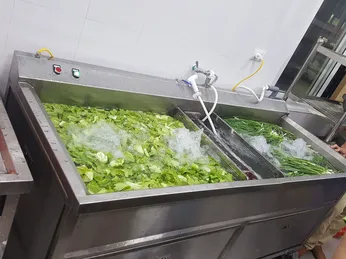 Máy khử khuẩn thực phẩm và máy rửa rau khác nhau như thế nào?