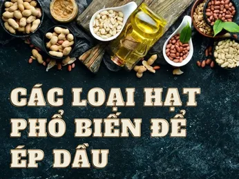 Top 10 nguyên liệu ép dầu phổ biến nhất tại Việt Nam