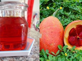Cách làm dầu gấc tại nhà đơn giản, giữ trọn dưỡng chất – Hướng dẫn chi tiết từ A đến Z