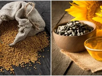 So sánh dầu đậu nành và dầu hướng dương loại nào tốt hơn?