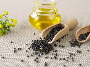 Dầu hạt cải có tốt không? Công dụng và những tác động cần lưu ý