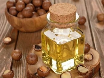 Cách ép dầu macca tại nhà: Hướng dẫn thực hiện chi tiết từ A-Z