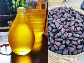 Dầu lạc đen là gì? Đặc điểm, công dụng và cách ép dầu tại nhà