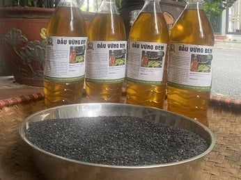 Công dụng của dầu mè đen: 14 lợi ích tuyệt vời đối với sức khỏe và lý do bạn nên sử dụng mỗi ngày