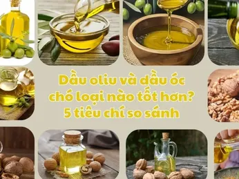 Dầu oliu và dầu óc chó loại nào tốt hơn cho sức khỏe?