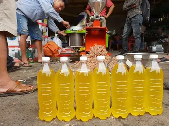 Kinh doanh dầu lạc tại nhà với máy ép dầu lạc - Nguồn thu nhập không ngờ