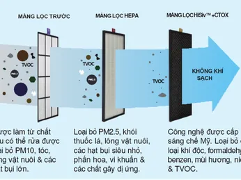 So sánh máy hút ẩm không khí và máy lọc không khí