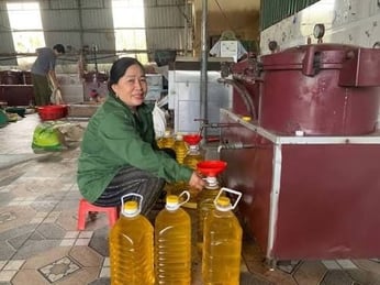 Kinh doanh dịch vụ ép dầu thuê: Mô hình kiếm thêm thu nhập từ máy ép dầu