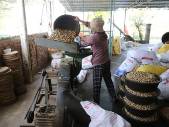 Giải Pháp Tiêu Thụ Nông Sản Bằng Mô Hình Ép Dầu Tại Địa Phương