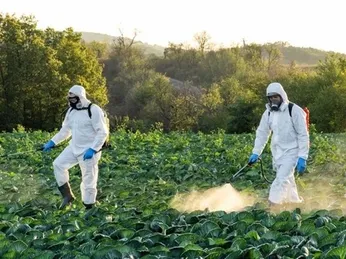 Tác động sức khỏe của dư lượng thuốc trừ sâu trong trái cây, rau củ: Cần biết gì?