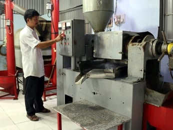 Máy ép dầu công nghiệp ép được những loại hạt nào?