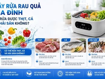 Máy rửa rau quả gia đình có rửa được thịt, cá và hải sản không?