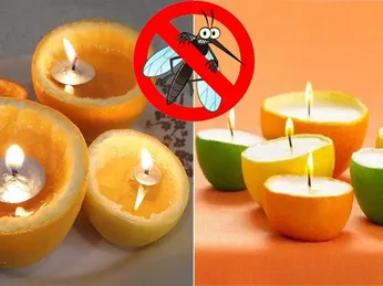 20 Cách Đuổi Muỗi, Diệt Muỗi Nhanh, Hiệu Quả Cho Cả Gia Đình Mà Bạn Nên Biết
