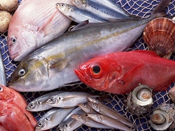 Sự thật về vi khuẩn trên thịt cá mà người bán không bao giờ nói