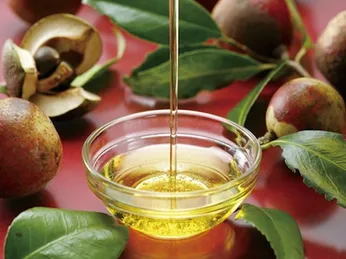 Dầu hoa trà (Camellia Oil) là gì? Giá trị thực sự của “vàng lỏng” Nhật Bản và xu hướng tự ép dầu hoa trà tại nhà