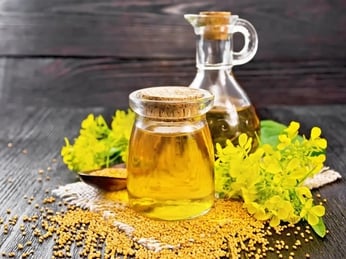 Vì sao dầu hạt cải được sử dụng phổ biến trong ngành chế biến thực phẩm?