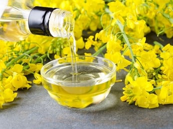 Tác hại của dầu hạt cải mà người dùng cần biết