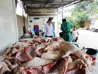 Vì Sao Ngộ Độc Thực Phẩm Ngày Càng Gia Tăng? Nguyên Nhân, Thực Trạng Và Giải Pháp Bảo Vệ Sức Khỏe Gia Đình