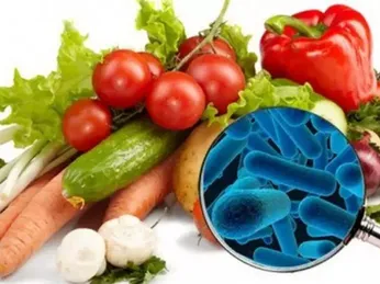 Các loại vi khuẩn gây bệnh đường ruột có trong thực phẩm