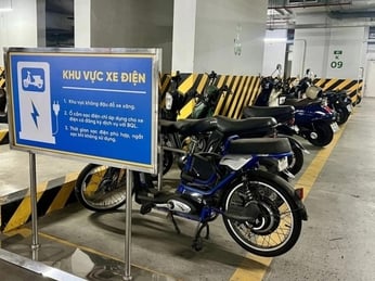 Xe Điện Để Lâu Không Đi Có Thể Gặp Những Vấn Đề Gì? Cách Khắc Phục Hiệu Quả 