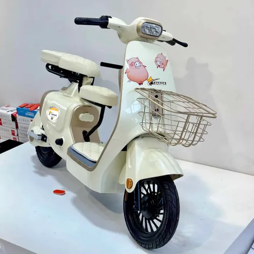 Xe Đạp Điện TAHAWA NHẬT BẢN TH-VC1 Phối Màu Theo Yêu Cầu, Full Phụ Kiện
