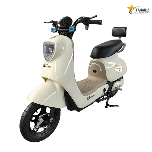 Xe đạp điện Tahawa Nhật Bản TH-Q8
