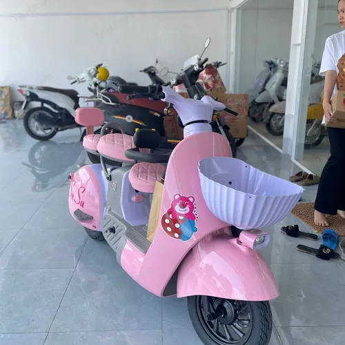XE ĐẠP ĐIỆN TAHAWA NHẬT BẢN TH-TYPE02 CỰC ĐẸP PHÙ HỢP VỚI MỌI ĐỘ TUỔI