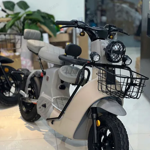 XE ĐẠP ĐIỆN TAHAWA NHẬT BẢN TH-TYPE03 KIỂU DÁNG MẠNH MẼ, CÁ TÍNH