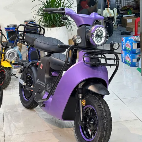 XE ĐẠP ĐIỆN TAHAWA NHẬT BẢN TH-TYPE03 KIỂU DÁNG MẠNH MẼ, CÁ TÍNH