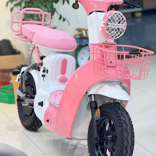 XE ĐẠP ĐIỆN TAHAWA NHẬT BẢN TH-TYPE03 KIỂU DÁNG MẠNH MẼ, CÁ TÍNH