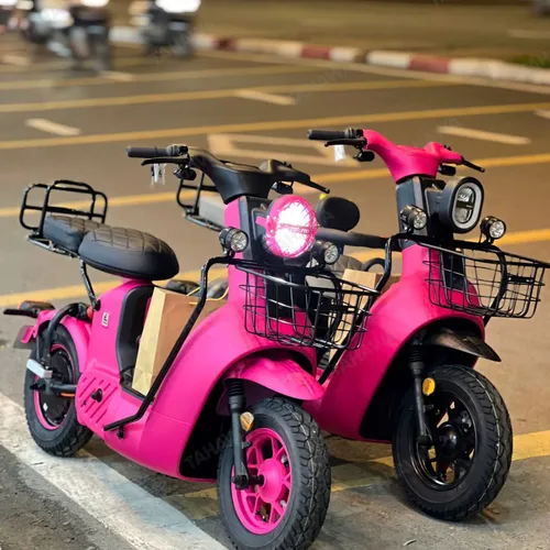 XE ĐẠP ĐIỆN TAHAWA NHẬT BẢN TH-TYPE03 KIỂU DÁNG MẠNH MẼ, CÁ TÍNH