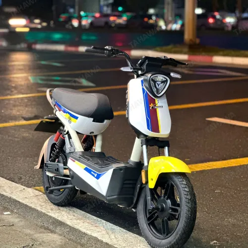 Xe Đạp điện Nhật Bản Tahawa XBull