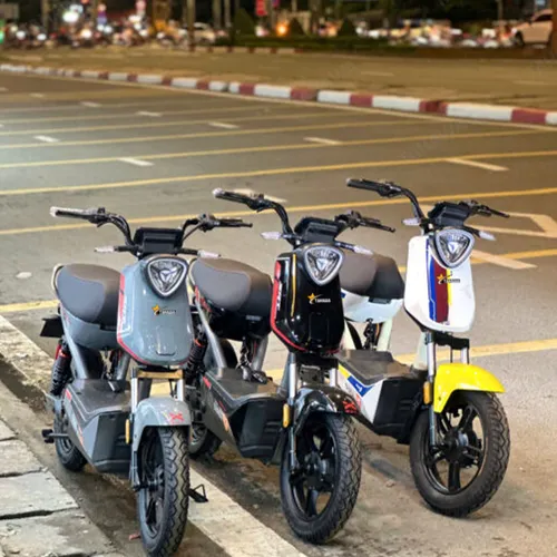 Xe Đạp điện Nhật Bản Tahawa XBull