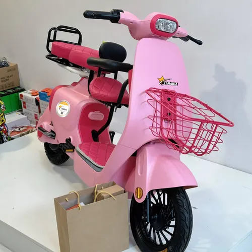 Xe Đạp Điện TAHAWA NHẬT BẢN TH-VC1 Phối Màu Theo Yêu Cầu, Full Phụ Kiện