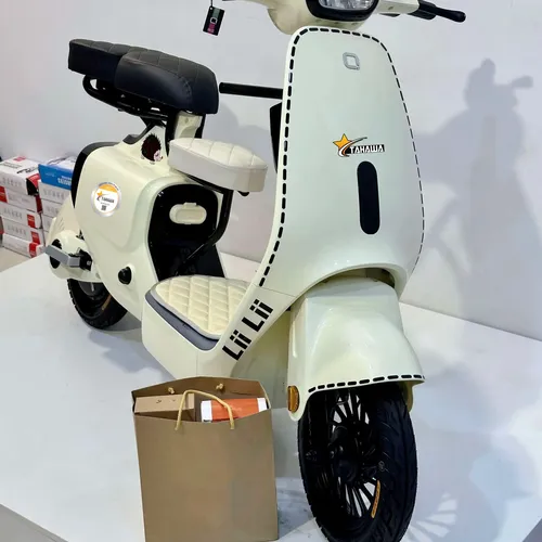 Xe Đạp Điện TAHAWA NHẬT BẢN TH-VC1 Phối Màu Theo Yêu Cầu, Full Phụ Kiện