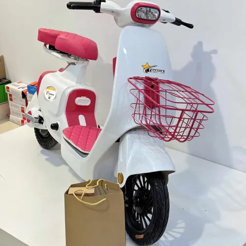 Xe Đạp Điện TAHAWA NHẬT BẢN TH-VC1 Phối Màu Theo Yêu Cầu, Full Phụ Kiện