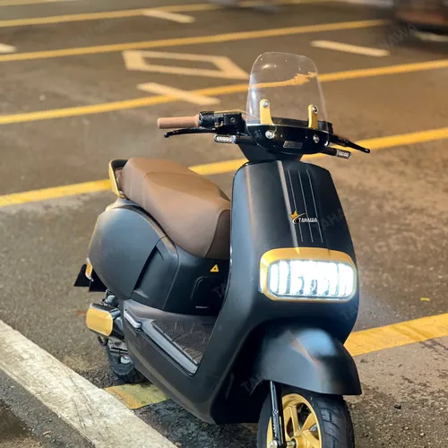 XE MÁY ĐIỆN TAHAWA TH-OSSY